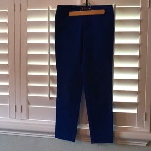 Royal blue pants